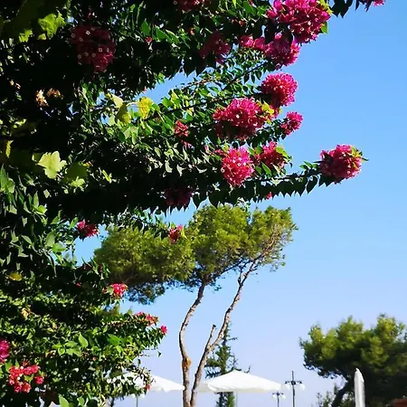 Villa Louis Luxury By Living In Blue *