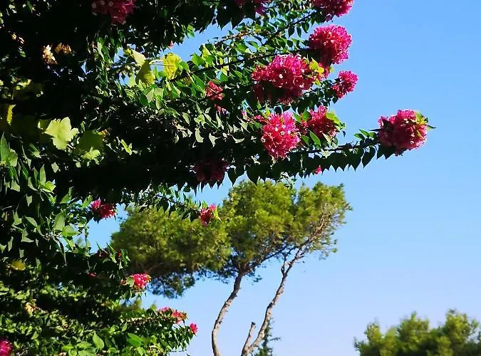 Villa Louis Luxury By Living In Blue *